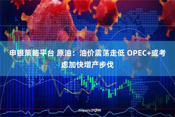 申银策略平台 原油：油价震荡走低 OPEC+或考虑加快增产步伐